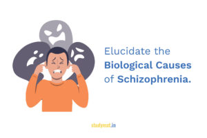 Biological-Causes-of-Schizophrenia-studymat.in