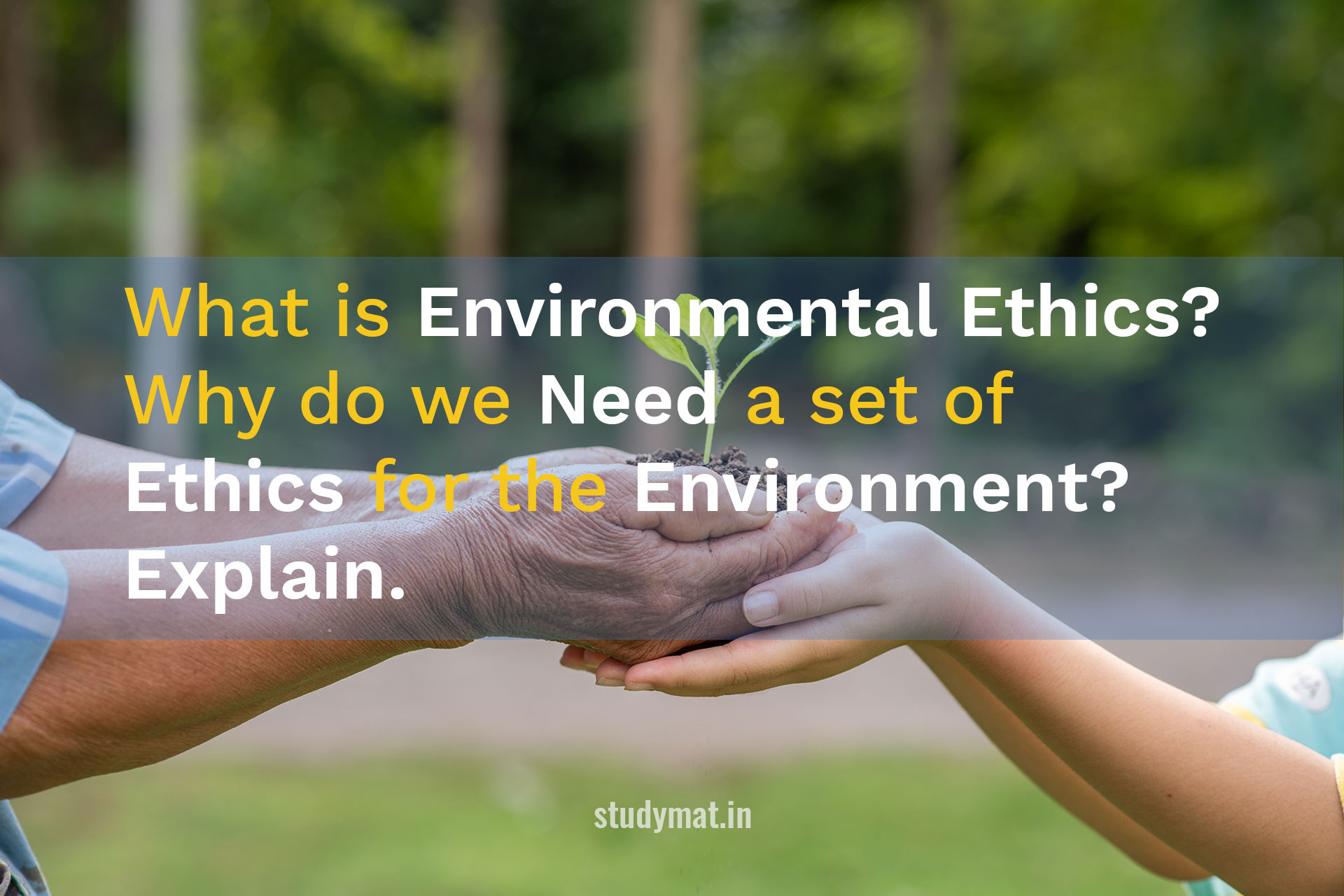 case study on ethical environment