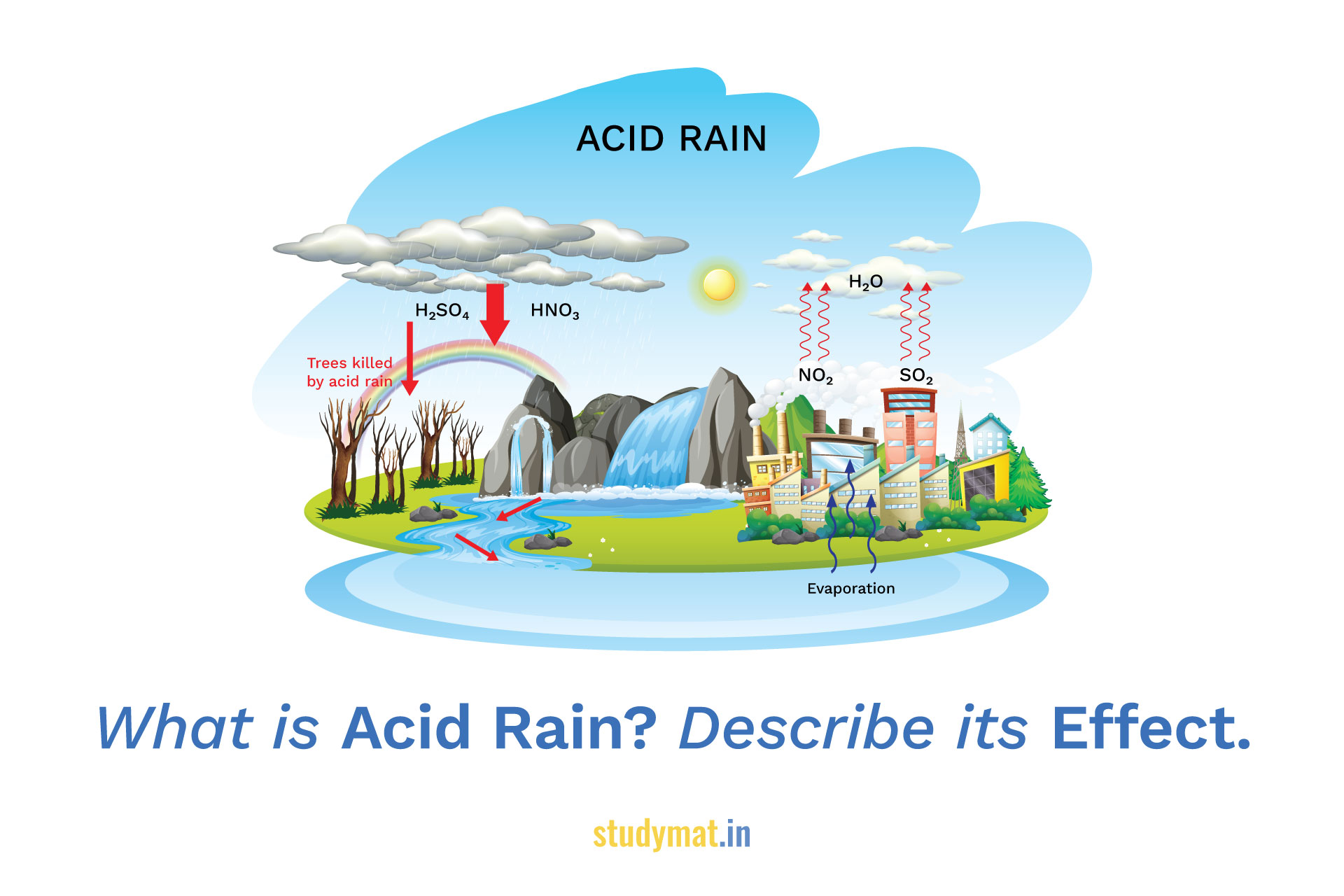 4.04 case study acid rain
