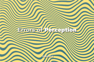 Read more about the article Errors of Perception.