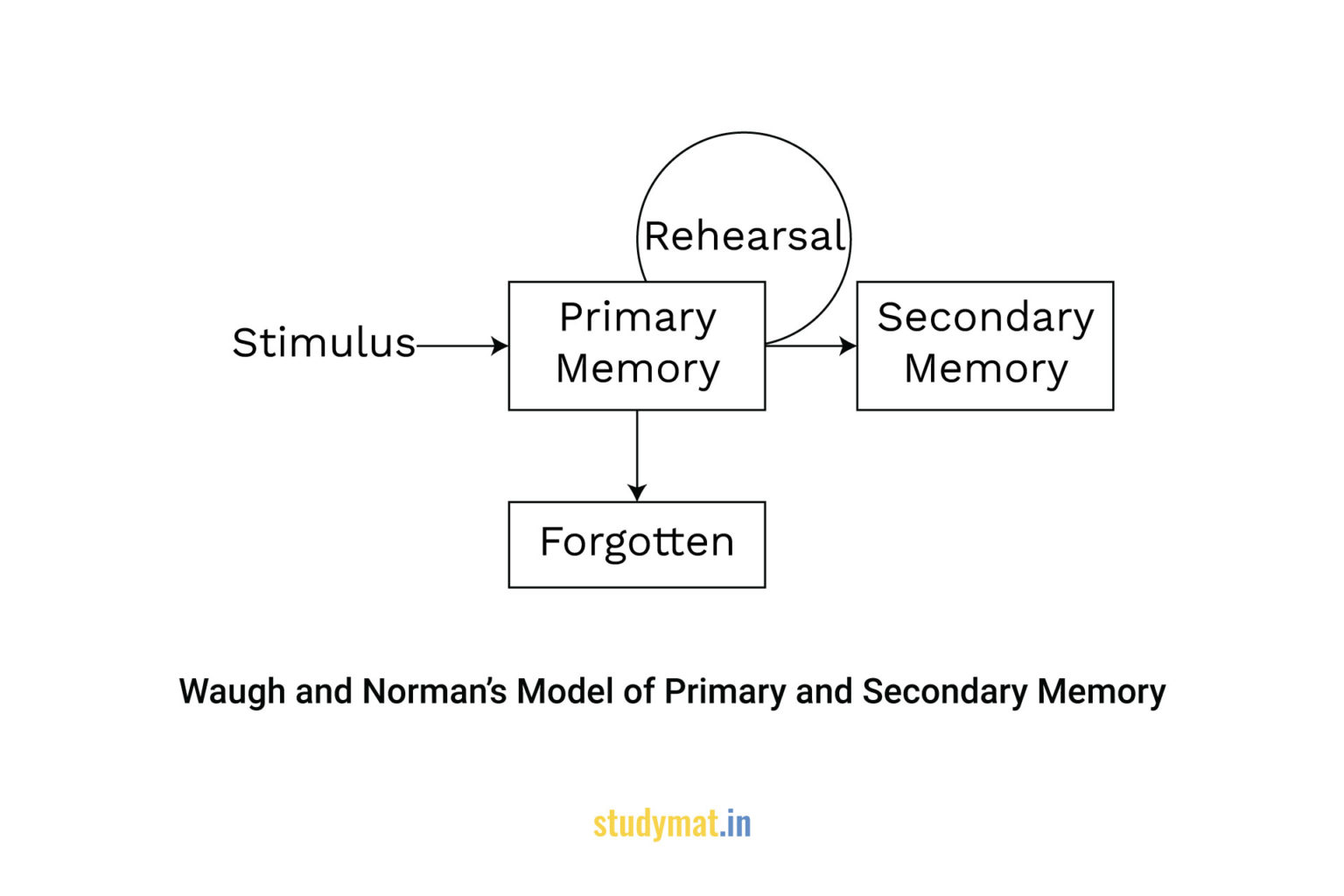 Waugh and Norman’s Model of Memory. - STUDYMAT