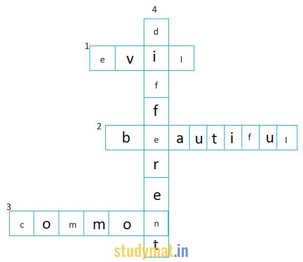 Lesson-3-Activity-7-Answer-studymat.in