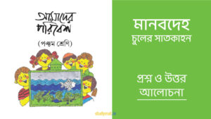 Read more about the article মানবদেহ – চুলের সাতকাহন | প্রশ্ন ও উত্তর | পঞ্চম শ্রেণি | আমাদের পরিবেশ