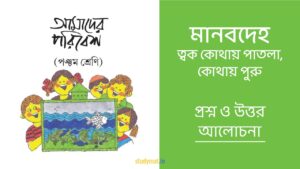 Read more about the article মানবদেহ – ত্বক কোথায় পাতলা, কোথায় পুরু | প্রশ্ন ও উত্তর | পঞ্চম শ্রেণি | আমাদের পরিবেশ