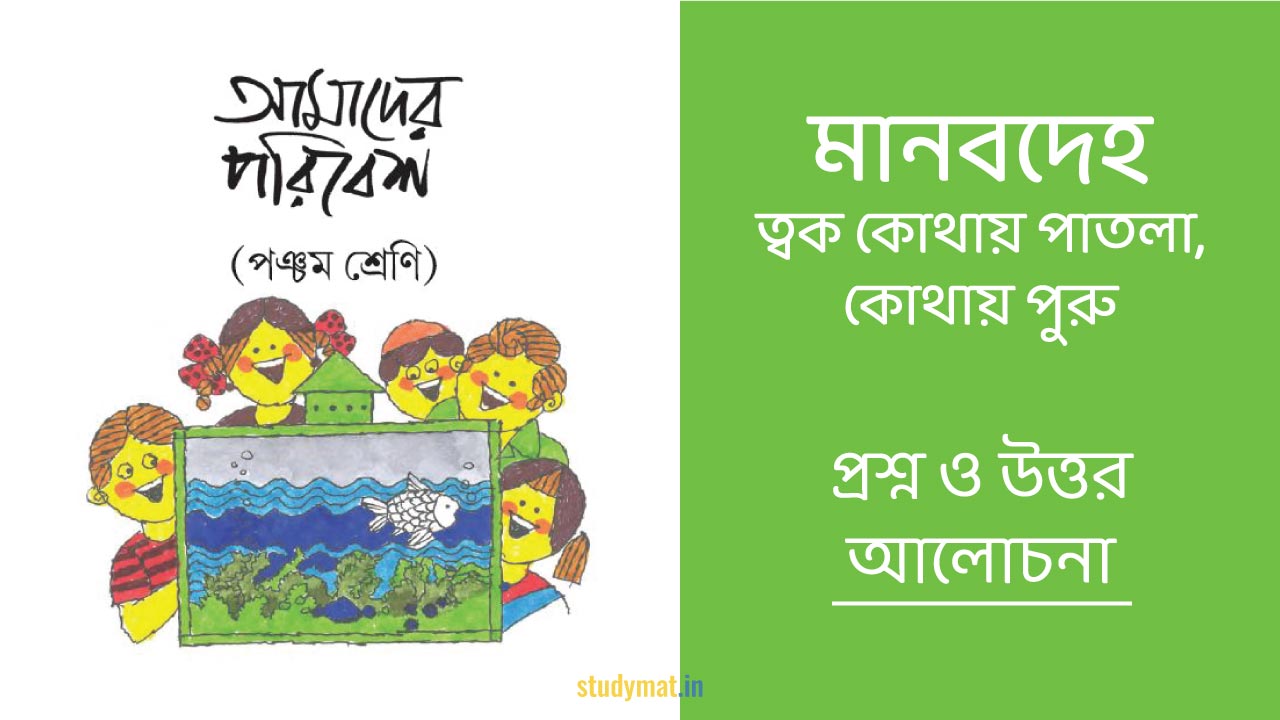 মানবদেহ - ত্বক কোথায় পাতলা, কোথায় পুরু | প্রশ্ন ও উত্তর