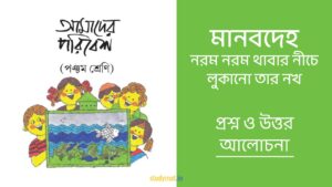 মানবদেহ - নরম নরম থাবার নীচে লুকানো তার নখ | প্রশ্ন ও উত্তর