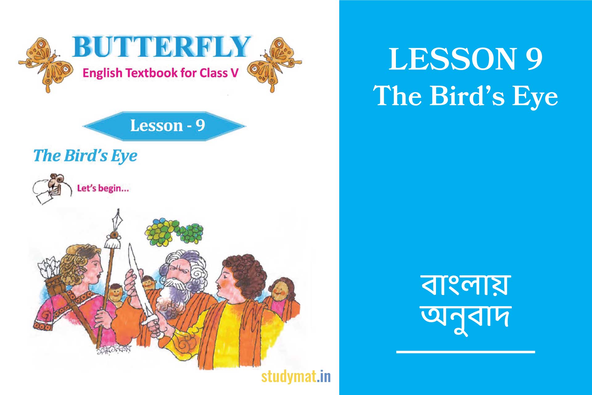 the-bird-s-eye-lesson-9-bengali-translation-class-5-butterfly