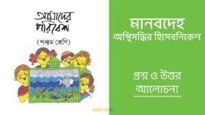 Read more about the article মানবদেহ – অস্থিসন্ধির হিসেবনিকেশ | প্রশ্ন ও উত্তর | পঞ্চম শ্রেণি | আমাদের পরিবেশ