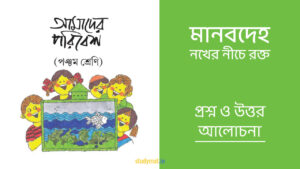 Read more about the article মানবদেহ – নখের নীচে রক্ত | প্রশ্ন ও উত্তর | পঞ্চম শ্রেণি | আমাদের পরিবেশ