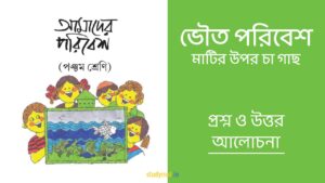 Read more about the article ভৌত পরিবেশ – মাটির উপর চা গাছ | প্রশ্ন ও উত্তর | পঞ্চম শ্রেণি | আমাদের পরিবেশ