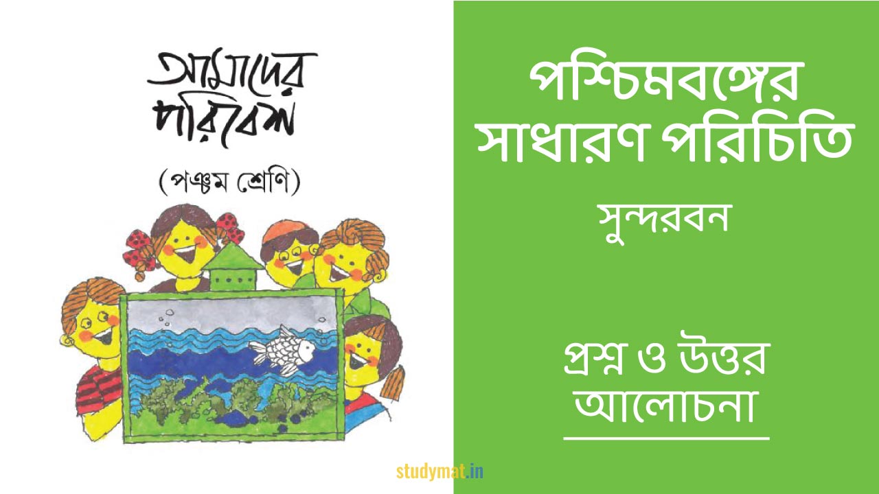 পশ্চিমবঙ্গের সাধারণ পরিচিতি - সুন্দরবন | প্রশ্ন ও উত্তর