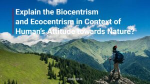 Biocentrism and Ecocentrism in Context of Human’s Attitude towards Nature.