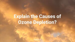 Causes of Ozone Depletion.