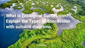 Ecological Succession and Types of Succession.