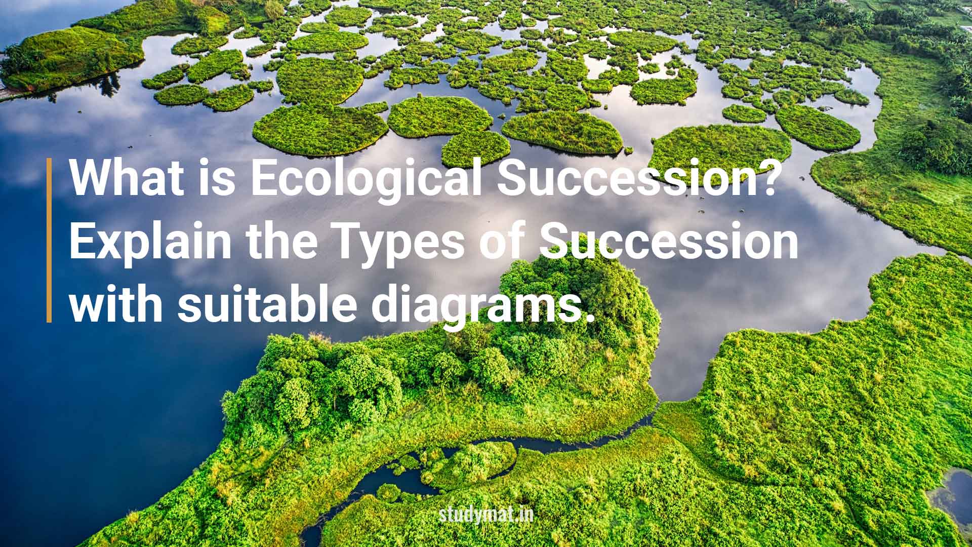 what-is-ecological-succession-explain-the-types-of-succession-with