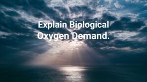 Read more about the article Biological Oxygen Demand.