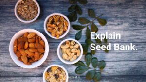 Read more about the article Seed Bank.