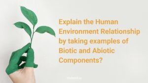 Human-Environment Relationship by taking examples of Biotic and Abiotic Components.