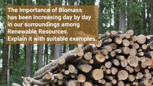Read more about the article The Importance of Biomass has been increasing day by day in our surroundings among Renewable Resources.