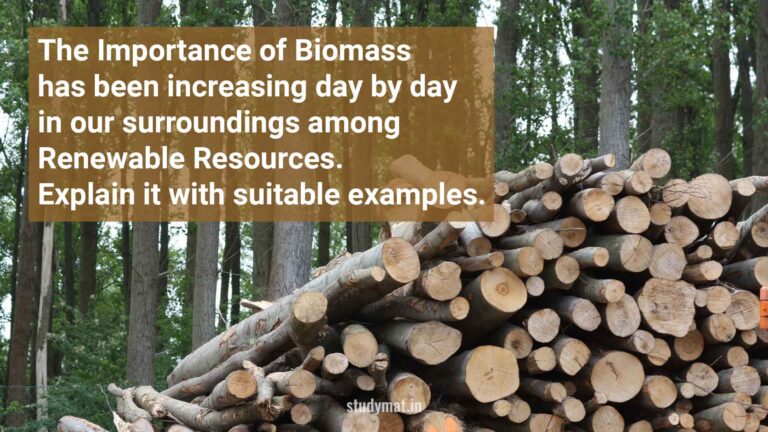 The Importance of Biomass has been increasing day by day in our ...