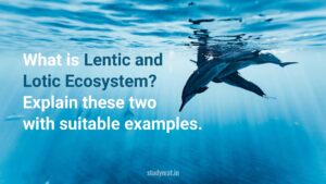 Lentic and Lotic Ecosystem.