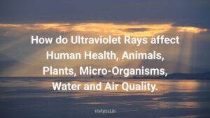 Read more about the article How do Ultraviolet Rays affect Human Health, Animals, Plants, Micro-Organisms, Water and Air Quality.