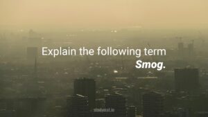 Read more about the article Smog.