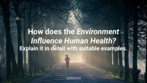 Read more about the article How does the Environment Influence Human Health?