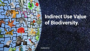 Indirect Use Value of Biodiversity.
