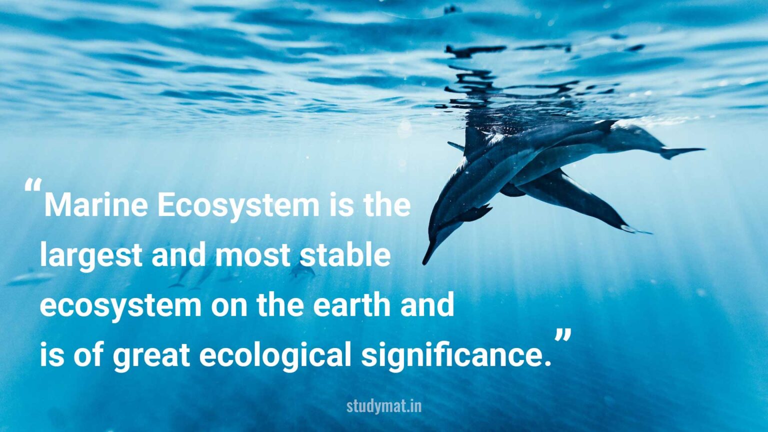 Marine Ecosystem is the largest and most stable ecosystem on the earth ...