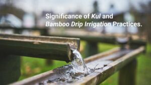 Significance of Kul and Bamboo Drip Irrigation Practices.
