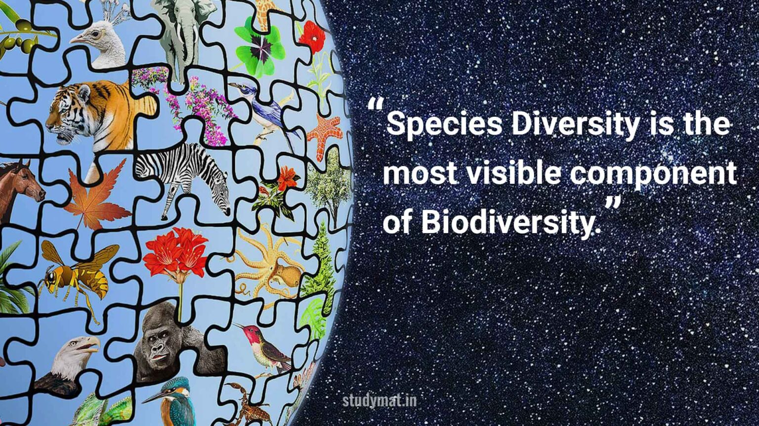 Species Diversity Is The Most Visible Component Of Biodiversity Species Diversity Is The Most Visible Component Of Biodiversity