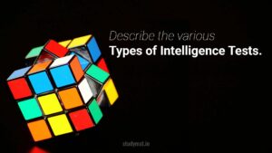 Read more about the article Types of Intelligence Tests.