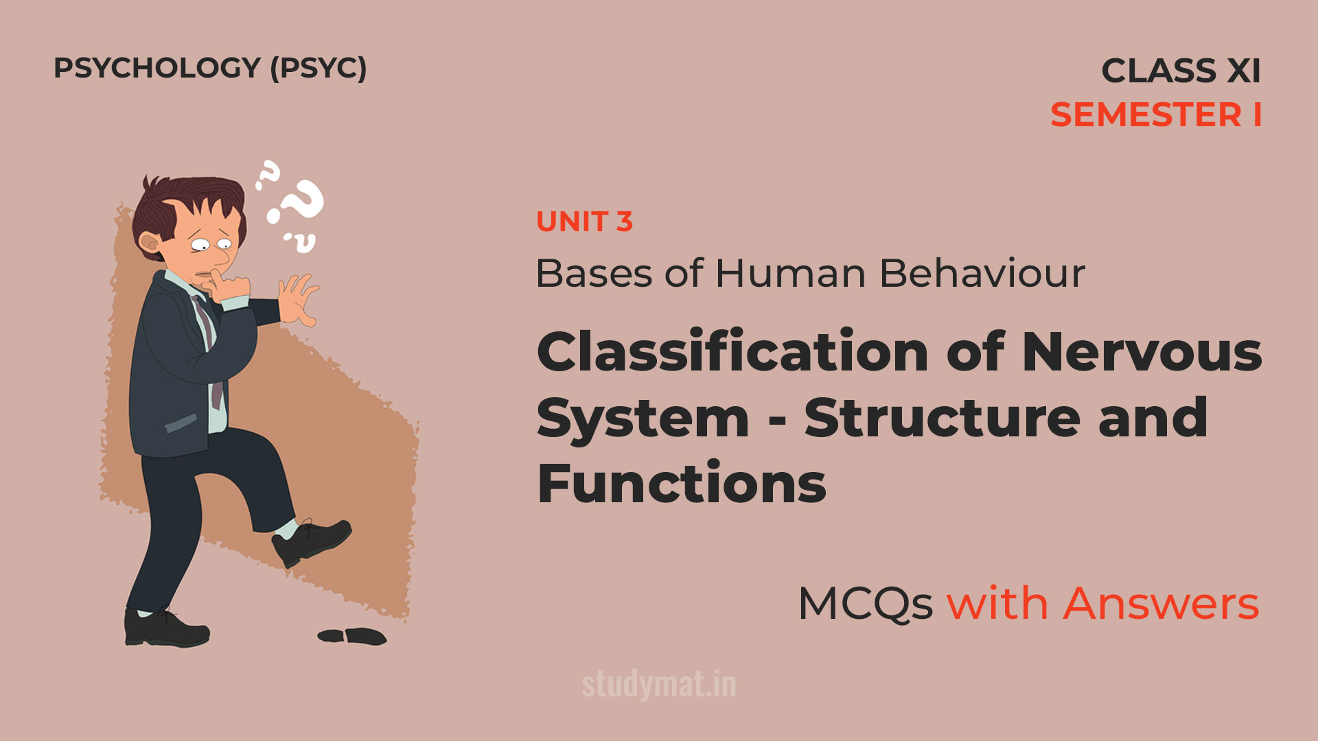 Classification of Nervous System: Structure and Functions | MCQs with Answers