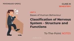 Read more about the article Classification of Nervous System: Structure and Functions | Notes | Unit 3 | Class 11 | Psychology