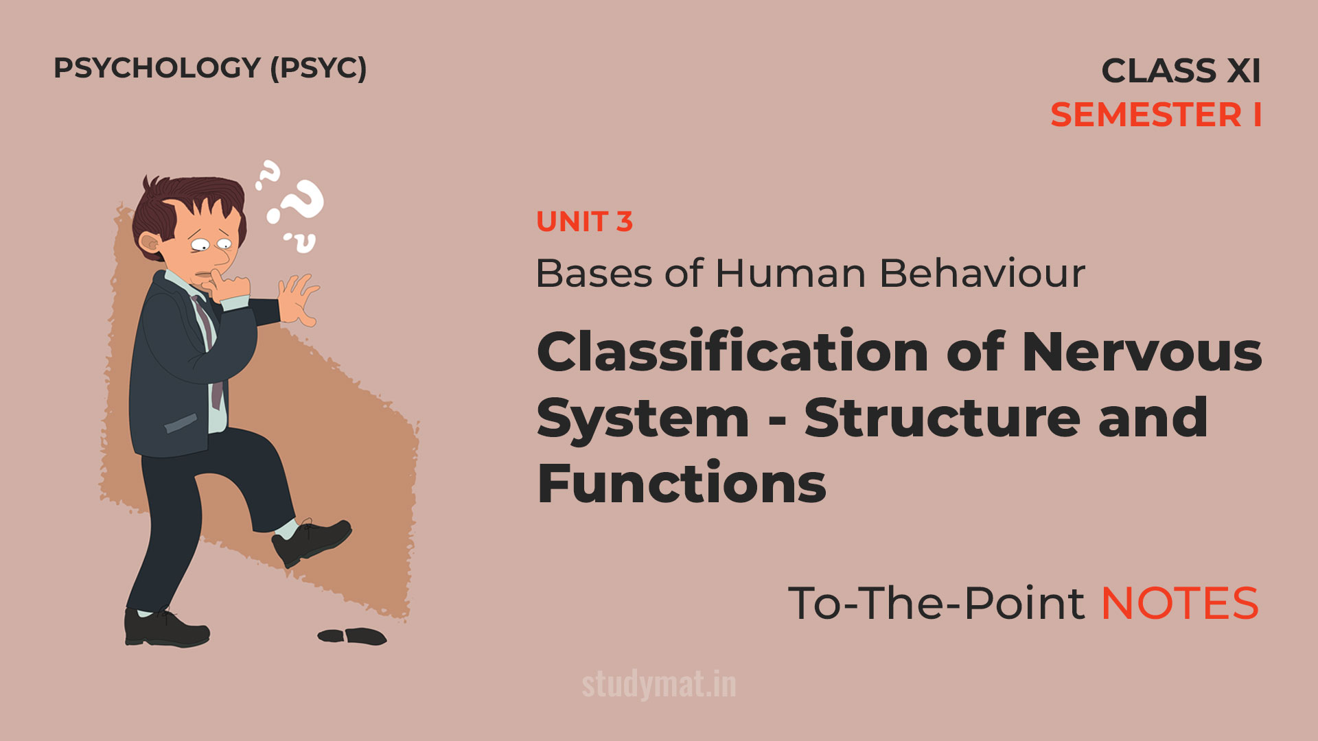 Classification of Nervous System: Structure and Functions | Notes