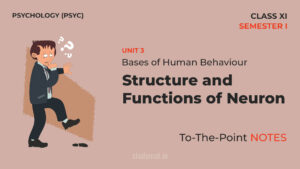 Read more about the article Structure and Functions of Neuron | Notes | Unit 3 | Class 11 | Psychology