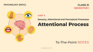 Read more about the article Attentional Process | Notes | Unit 4 | Class 11 | Psychology