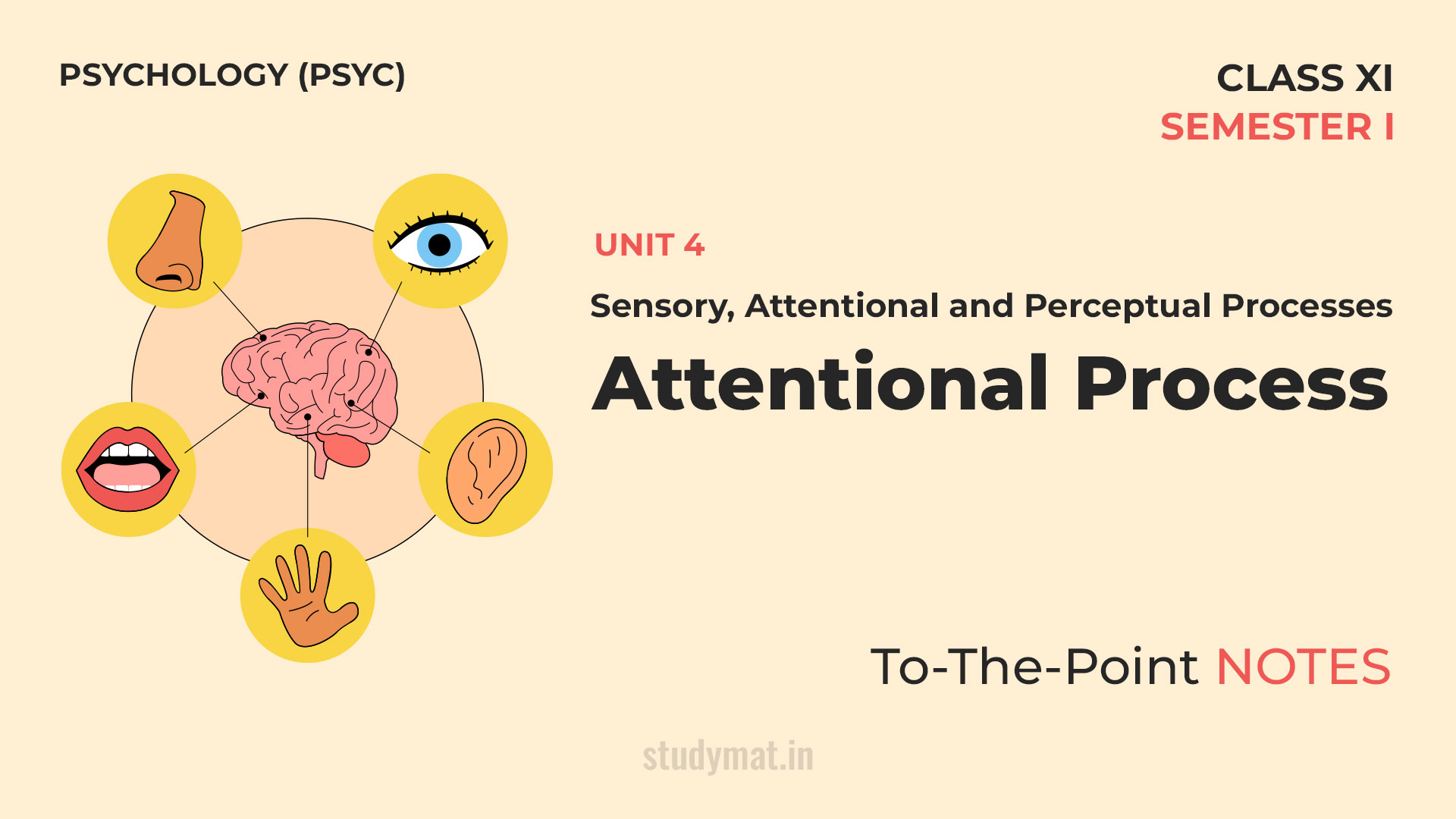 Attentional Process | Notes