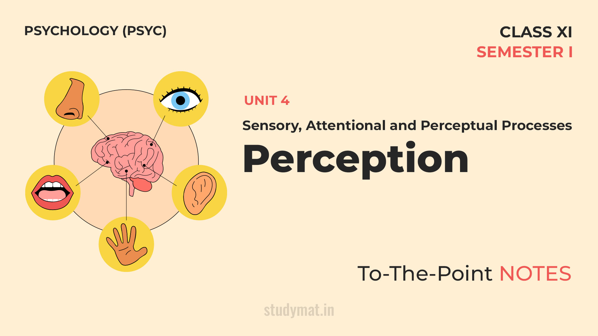 You are currently viewing Perception | Notes | Unit 4 | Class 11 | Psychology