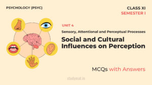 Social and Cultural Influences on Perception | MCQs with Answers