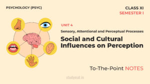 Social and Cultural Influences on Perception | Notes