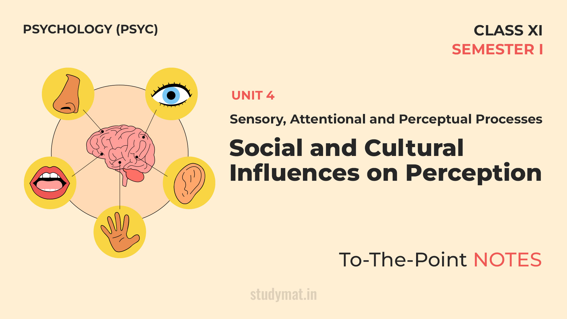 Social and Cultural Influences on Perception | Notes