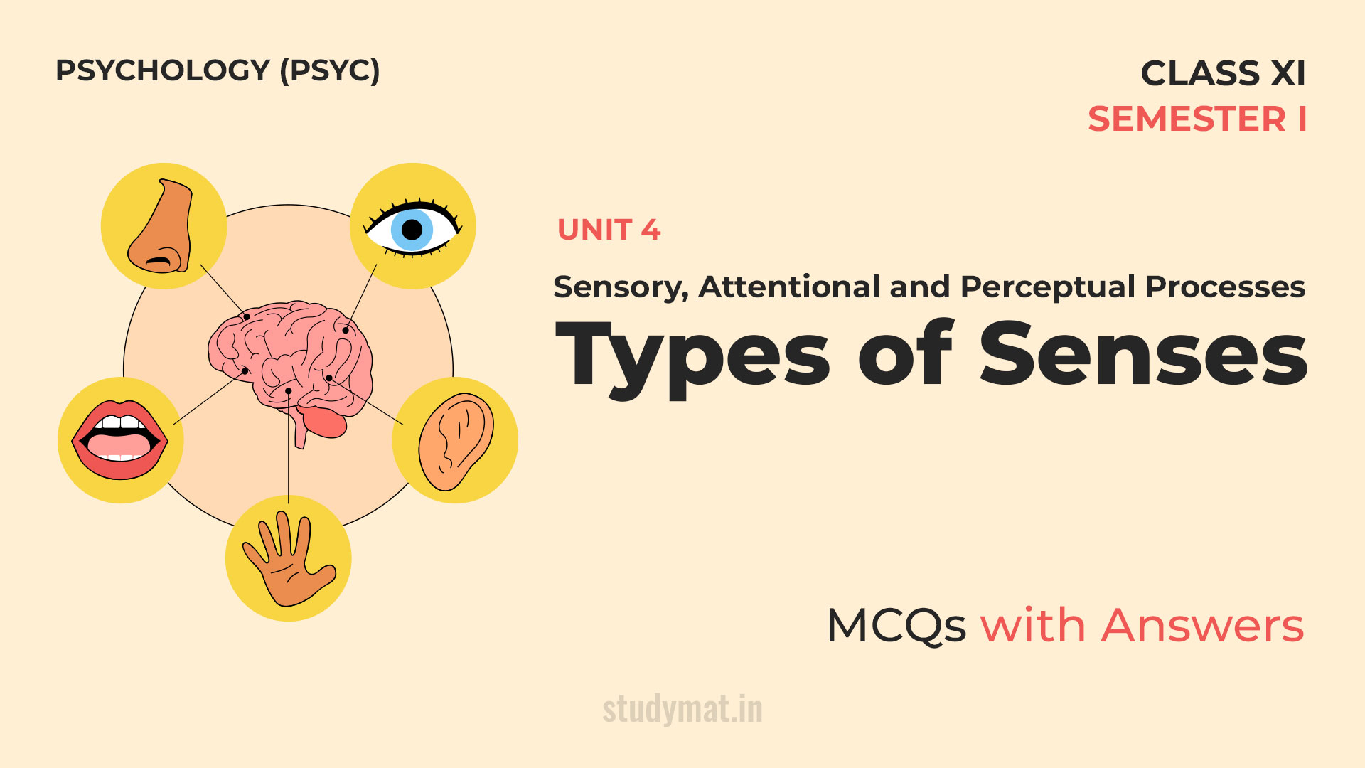 Types of Senses | MCQs with Answers