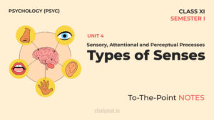 Read more about the article Types of Senses | Notes | Unit 4 | Class 11 | Psychology