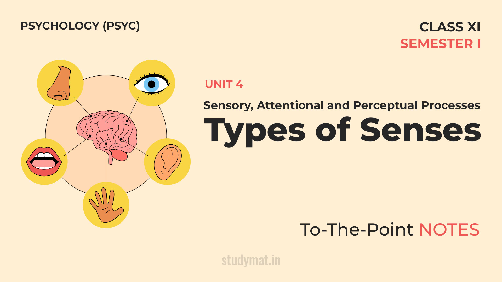 Types of Senses | Notes